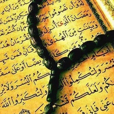 Vidovita Šeherzada Beli Mag Vidovita Šeherzada