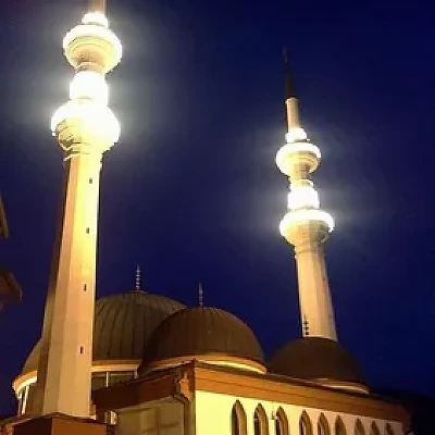 Vidovita Šeherzada Beli Mag Vidovita Šeherzada